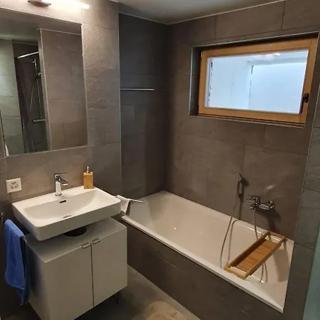 Apartmán New Flat In Randogne With View