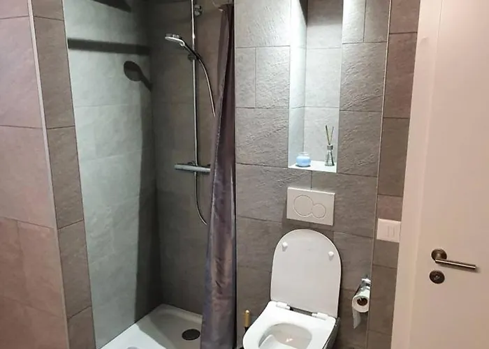 Lägenhet New Flat In Randogne With View